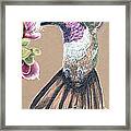 Ruby Throated Hummingbird Framed Print