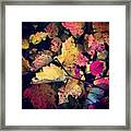 Colorful Framed Print