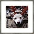 Rudolph Framed Print