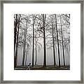 Runner Along Path In Fog And Cold With Tall Trees Framed Print