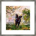 Running Free Horse Painting Framed Print