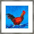 Running Rooster On Blue Background Framed Print