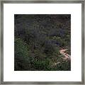 Running The Copper Canyon Ultra Framed Print