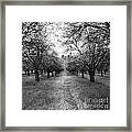 Runway Framed Print