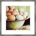 Rustic Farm Raised Eggs Framed Print