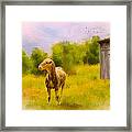 Rustic Pasture Framed Print