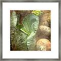 Rustic Vegetable Fruit Medley Iii Framed Print