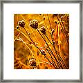 Rustic Weeds Framed Print
