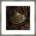 Rusty Beauty Framed Print