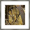 Rusty Old Wheel And Yellow Grasses Framed Print