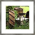 Rusty Tractor 1 Framed Print