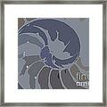 Sacred Spiral 5a Framed Print