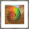 Sacred Spiral Rainbow Framed Print