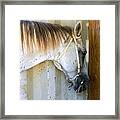 Saddle Break Framed Print