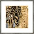 Sagrada Serpent Gargoyle Framed Print