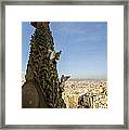 Sagrada Tree Of Life Overlooking Barcelona Framed Print