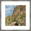Saguaro Cacti Sabino Canyon Framed Print