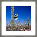 Saguaro Cactus In Bloom Framed Print