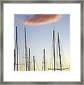 A Forest Of Sailboat Masts Silhouetted By A Setting Sun Framed Print