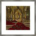 Saint Patricks Cathedral Framed Print