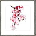 Sakura Flowers Watercolor Art Print Painting Framed Print
