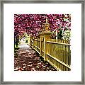 Salem Walkway Shrouded By Spring Flowers Framed Print