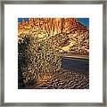 Salt Bush On Clay Pan At Rainbow Valley Framed Print