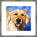 Happy Golden Retriever Painting Framed Print by Michelle Wrighton