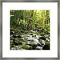 Sanctuary Stream Framed Print