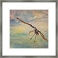 Sand Hill Crane Landing Framed Print