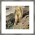 Sandhamn Study Framed Print