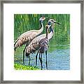 Mom Look What I Caught Framed Print