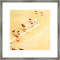 Sandpiper Promenade Framed Print