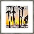 Santa Monica Palms Framed Print