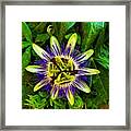 Saw This Flower In The Garden Of A Framed Print