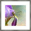 Say Hello To Spring Framed Print