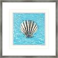 Scallop Underwater Framed Print