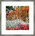 Scarlet House Framed Print