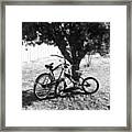 Bicycle Rack Framed Print