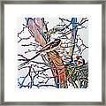 Scissortail Flycatchers Framed Print