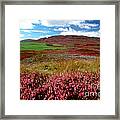 Scottish Highlands Framed Print