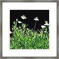 Scottish Moss In Bloom Framed Print