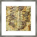 Scribbly Gum Art Portrait C Framed Print