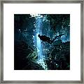 Scuba Diver Inside Cenote In Mexico Framed Print