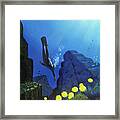 Scuba Diving Framed Print