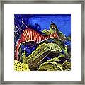 Sea Dragon Framed Print
