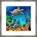 Sea Escape Iii - Hawksbill Gemstone Turtle Framed Print