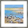 Sea Gulls Siesta Key Beach Framed Print
