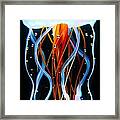 Sea Nettle Jellyfish Framed Print