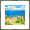 Sea Oat Path Framed Print